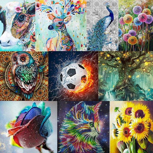 Diamond painting embroidery - 5d,